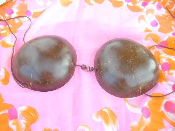coconut-shell-bra-1