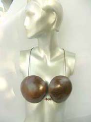 coconut shell bra